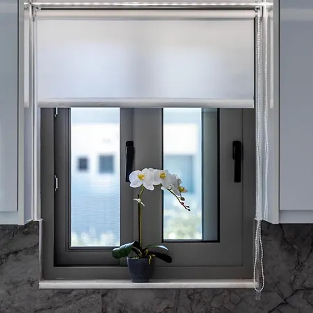 Diorisa House 라도스