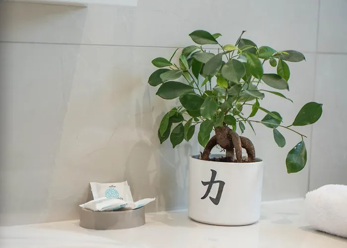 Apartamento Diorisa House *